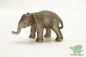 Preview: Schleich Asiatische Elefanten Bundle 14144 + 14343